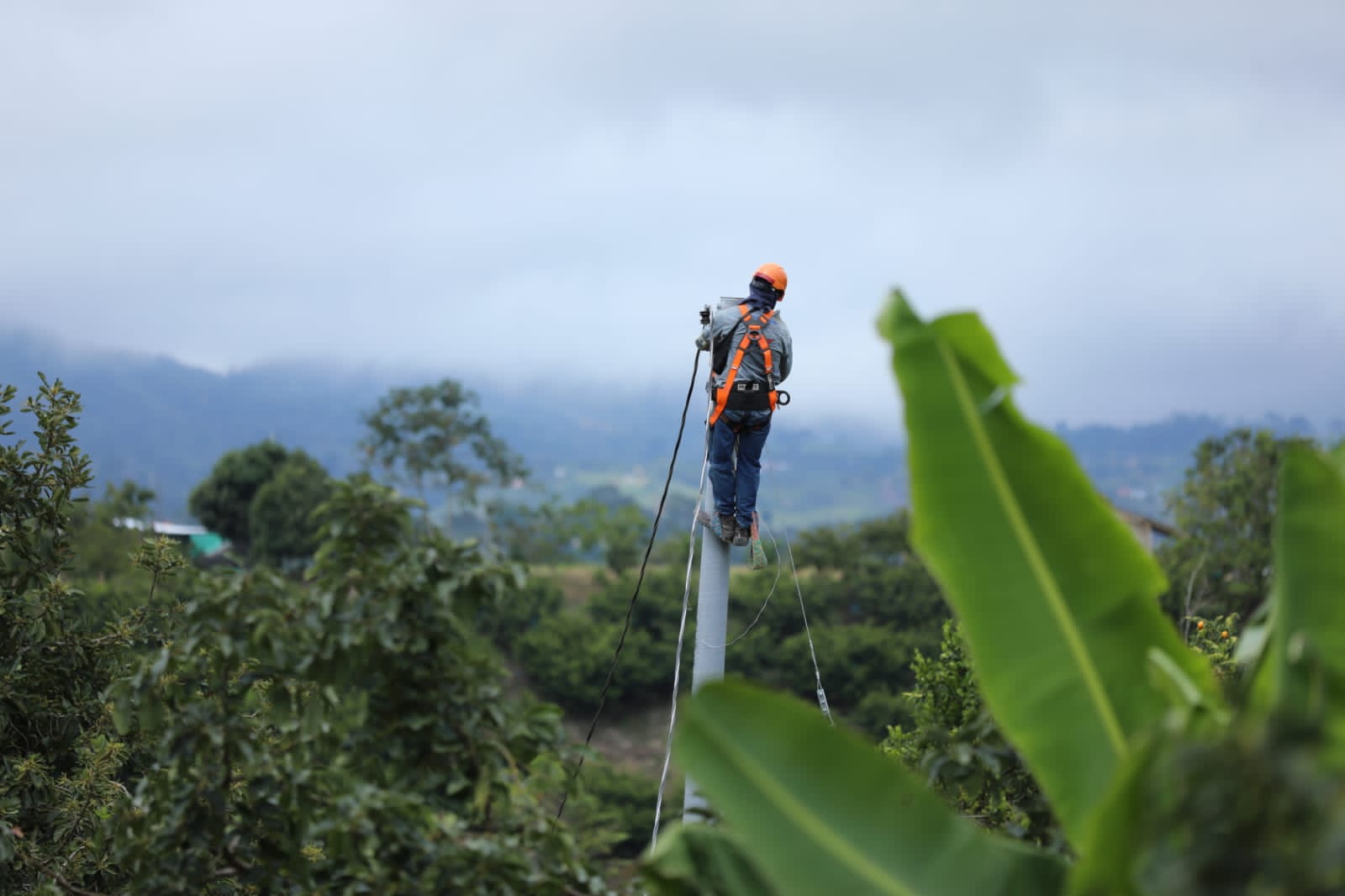 imagen de trabajador sobre red en sector rural imagen de trabajador sobre red en sector rural